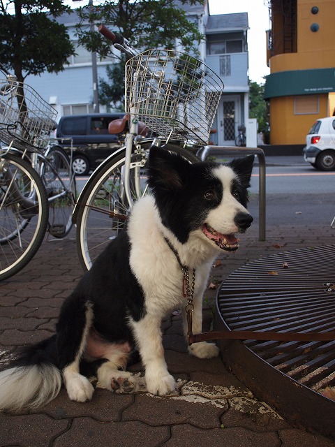 a0136249_0135033.jpg