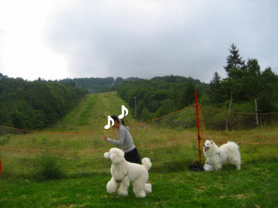 d0033151_20322590.jpg