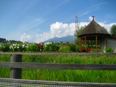 d0033151_2116286.jpg