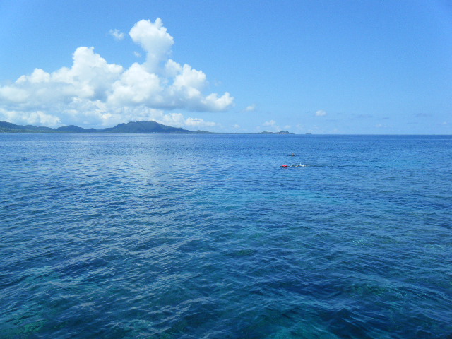 e0134752_20204984.jpg