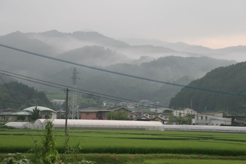 a0111756_15175935.jpg