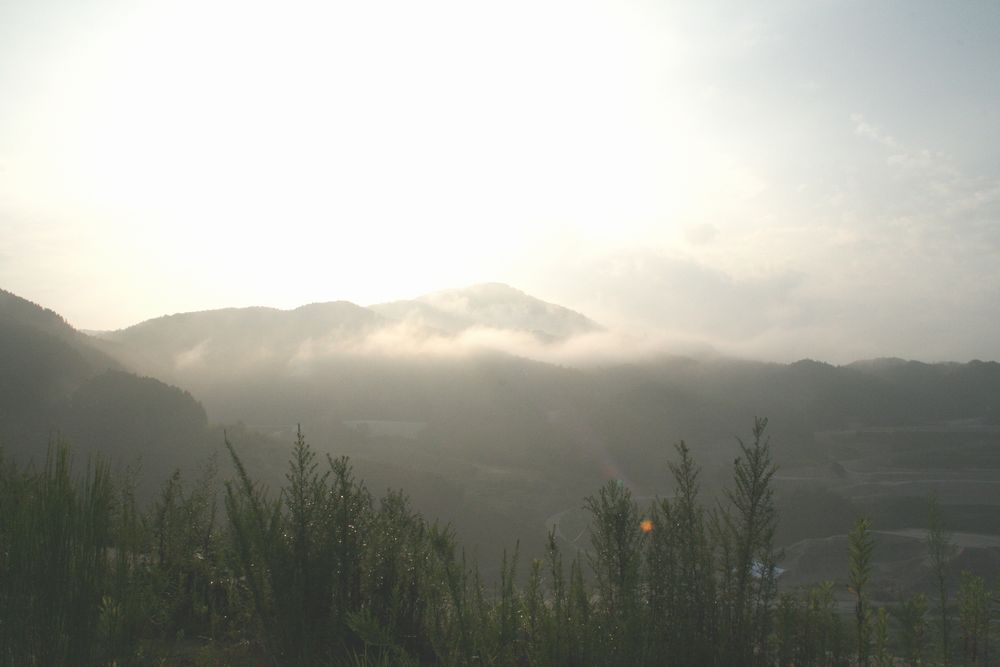 a0111756_15244944.jpg