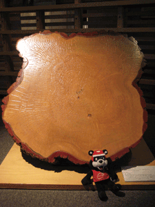 b0159557_2003038.gif