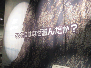 b0159557_2014826.gif