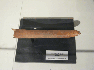 b0159557_202043.gif