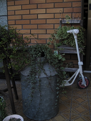 d0149257_1822810.jpg