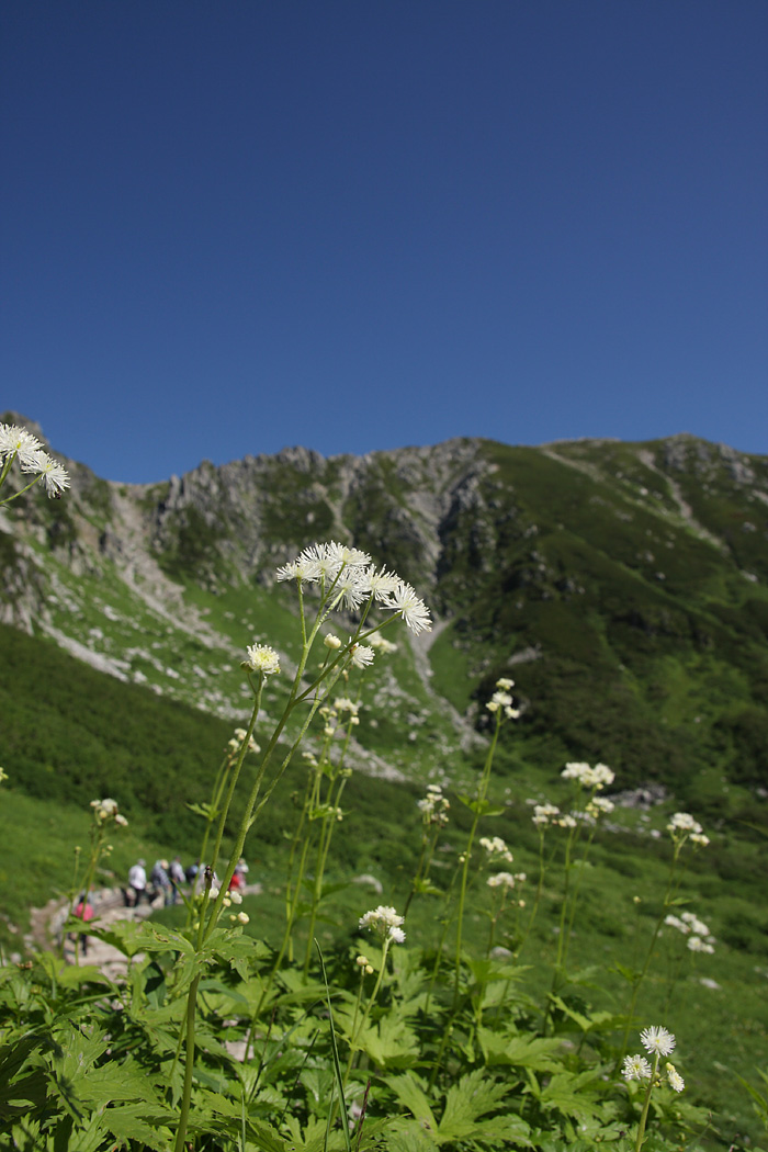 d0148060_1975337.jpg