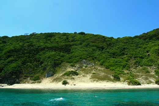 b0062363_2071919.jpg