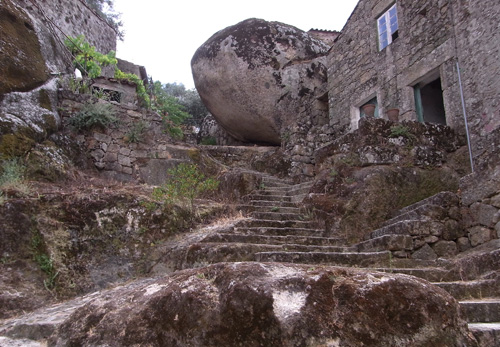 d0119763_70951.jpg
