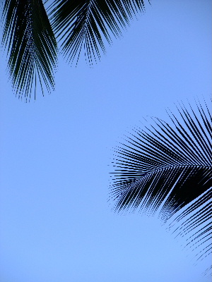 d0102664_038531.jpg