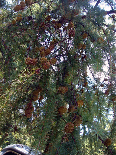f0099367_13215297.jpg