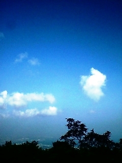 c0108673_23163.jpg