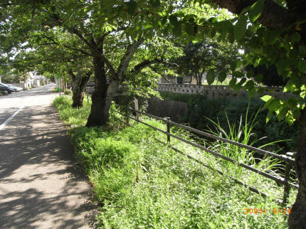 b0002879_2326365.jpg