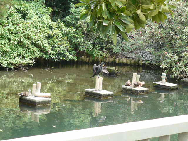 c0093179_1651593.jpg