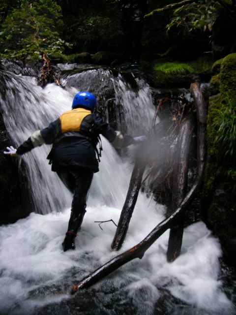 f0024281_20523570.jpg