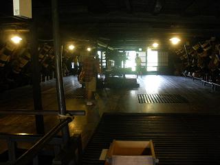 f0085881_1740477.jpg