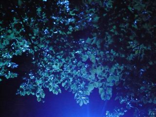 c0069083_5243724.jpg
