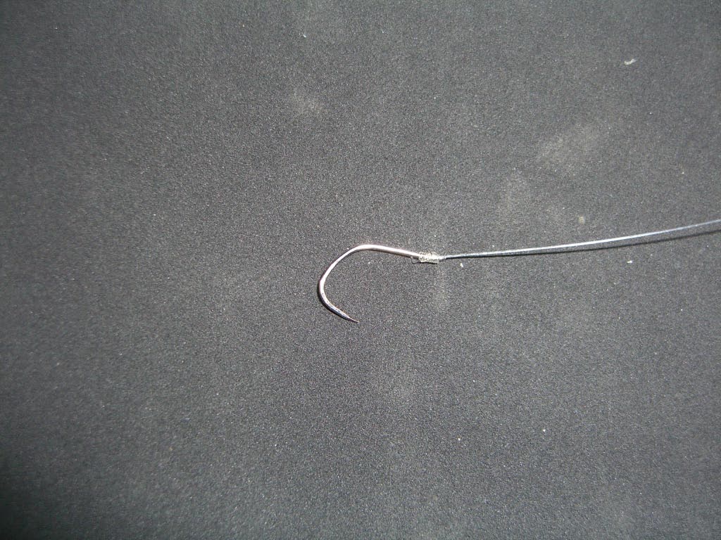 e0023183_16312815.jpg