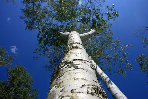 e0190885_200564.jpg