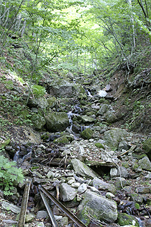 c0193887_22433157.jpg