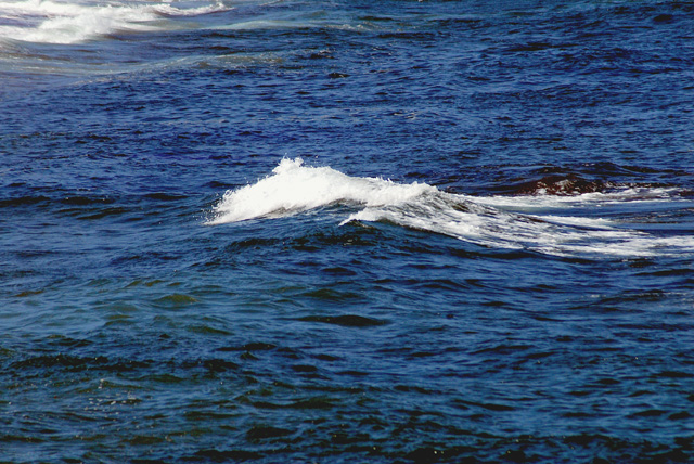 d0085887_017317.jpg