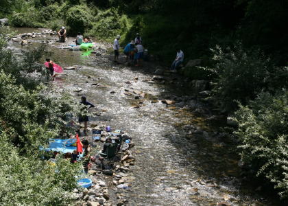 f0085889_8405866.jpg