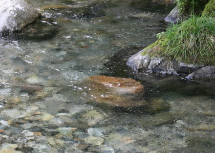 f0085889_8434111.jpg