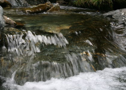 f0085889_844075.jpg