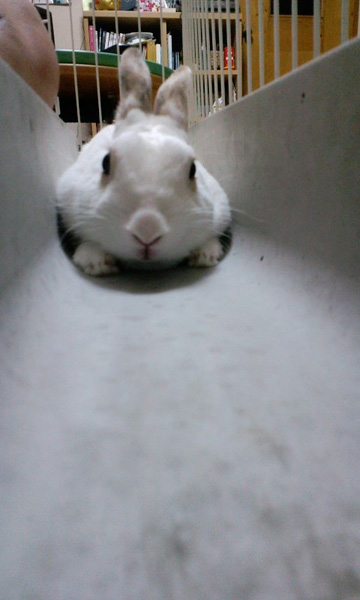 f0201191_12584021.jpg