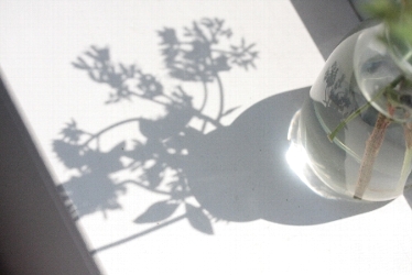 d0133693_20123350.jpg
