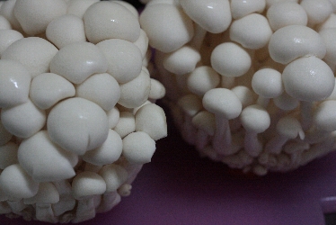 d0133693_2013169.jpg
