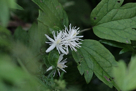 d0133693_20523565.jpg