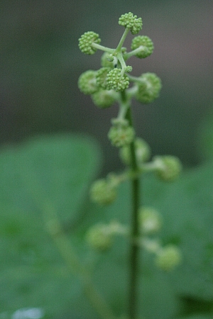 d0133693_2053370.jpg