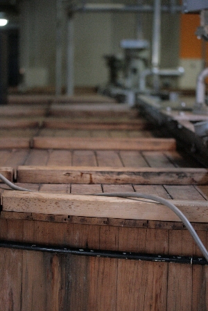 d0133693_20534237.jpg