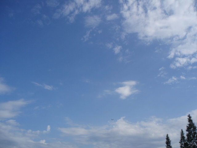 c0086895_22422050.jpg