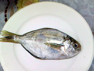 f0008597_951929.jpg
