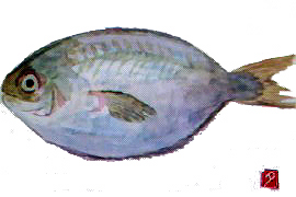 f0008597_95427.jpg