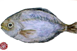 f0008597_955026.jpg