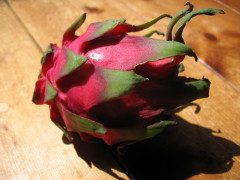 e0049598_2104835.jpg