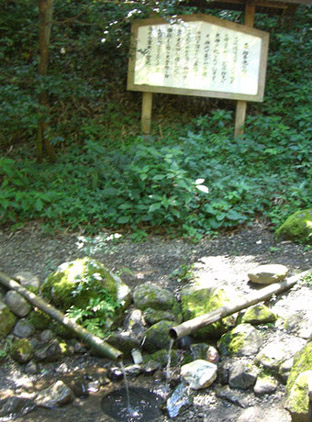 e0013900_1759093.jpg