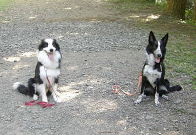 e0013900_1801210.jpg
