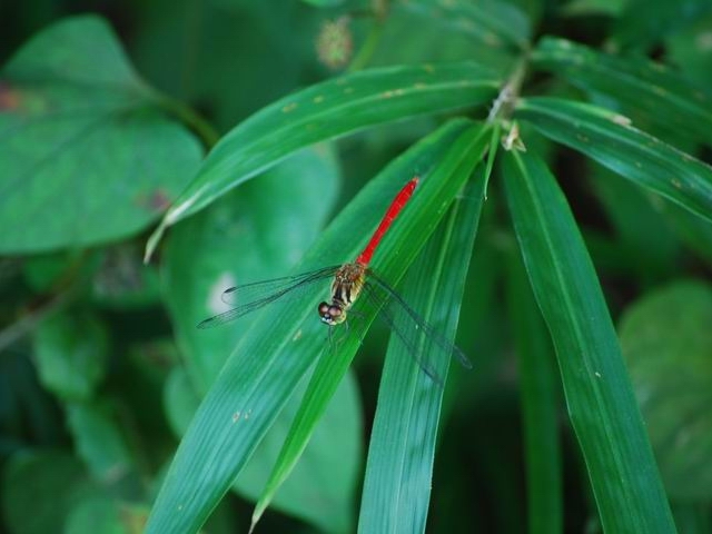 e0025300_12595864.jpg
