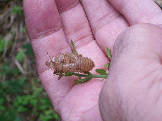 e0025300_13114440.jpg