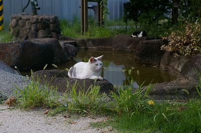 a0024005_17331244.jpg
