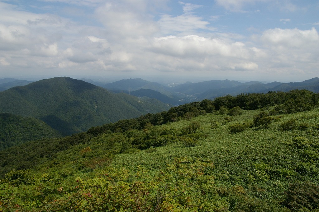 b0050305_194407.jpg