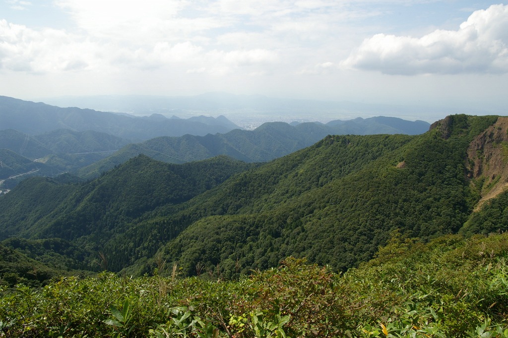 b0050305_1944231.jpg
