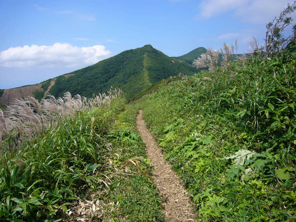 b0050305_19492359.jpg