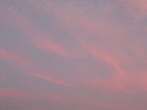 c0058606_056176.jpg