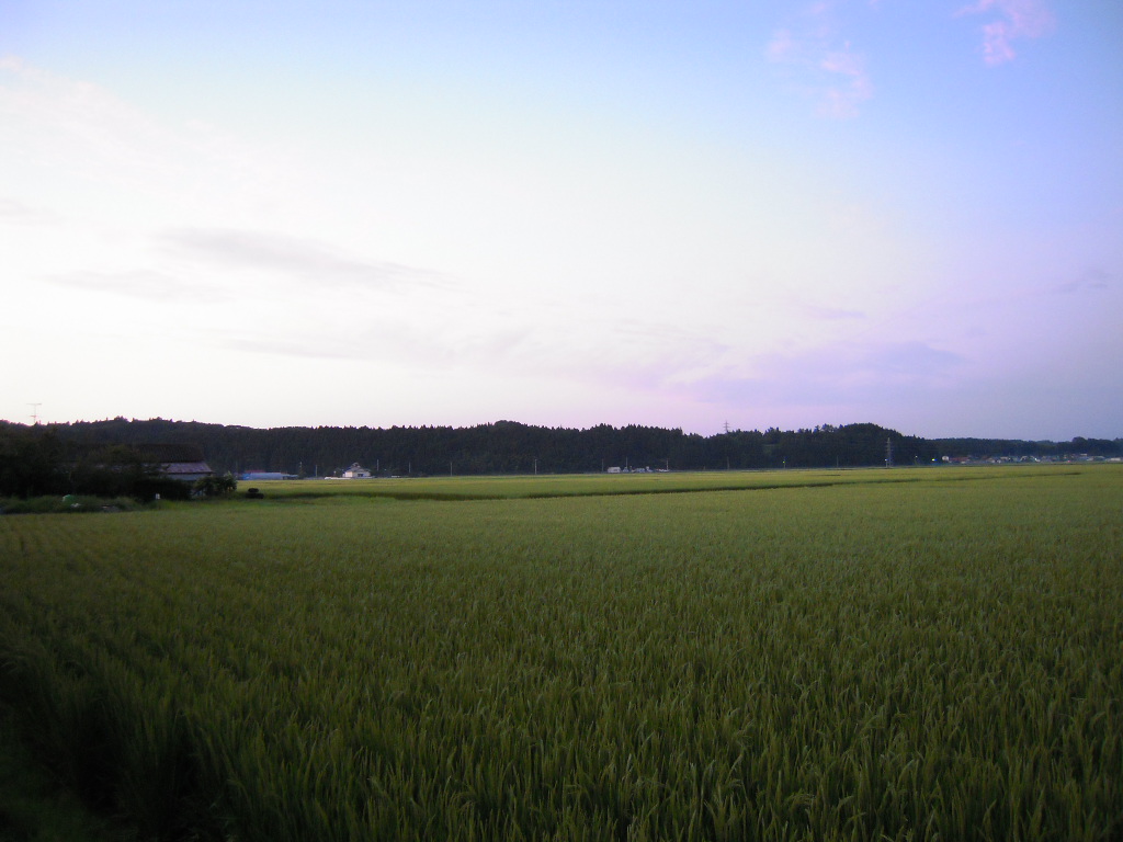 c0132608_18285372.jpg