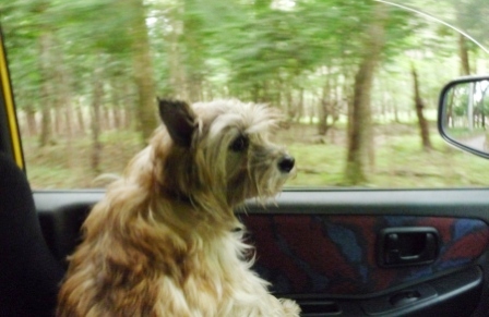 e0078510_1427141.jpg